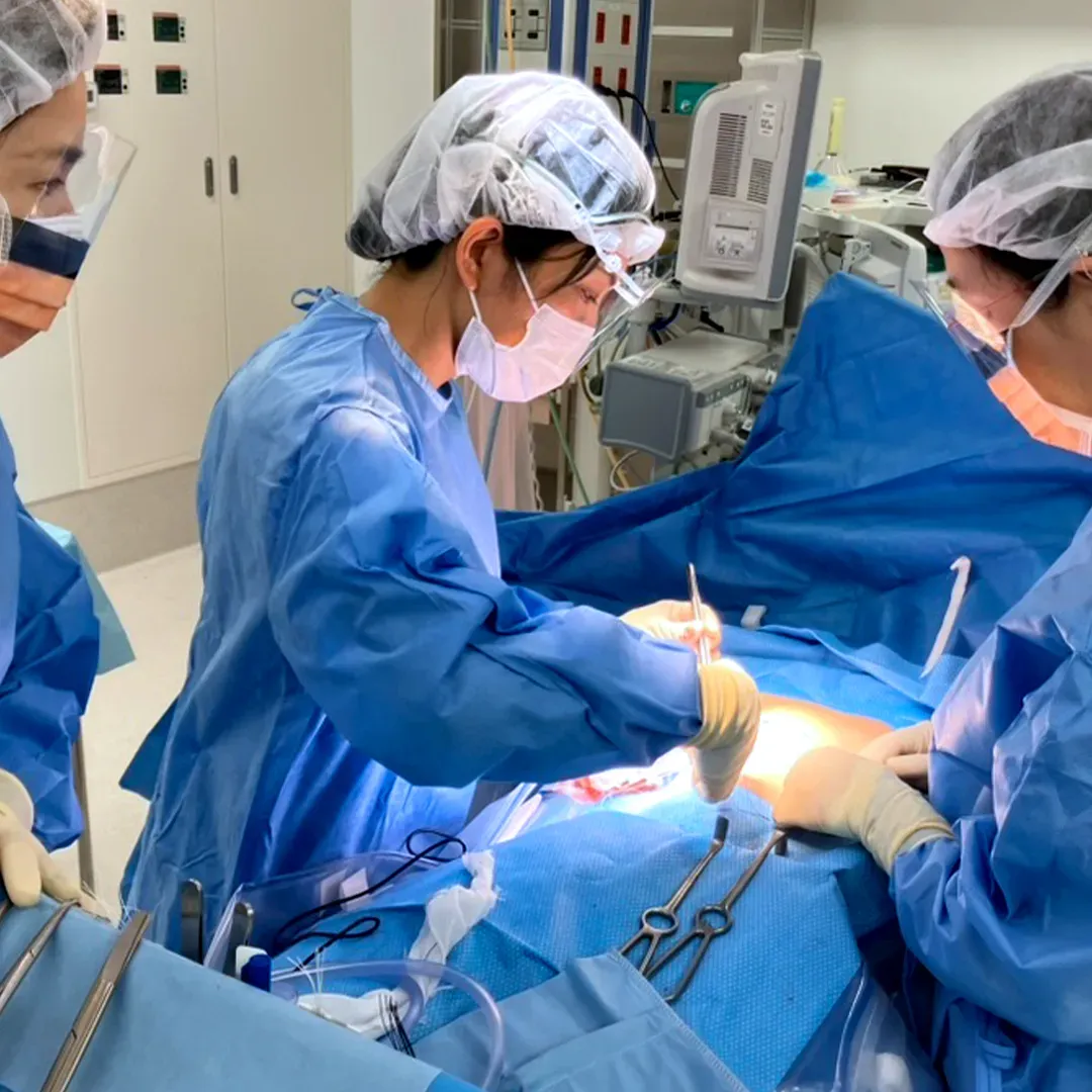 左乳房部分切除術(Suture Scaffold Technique)・センチネルリンパ節生検